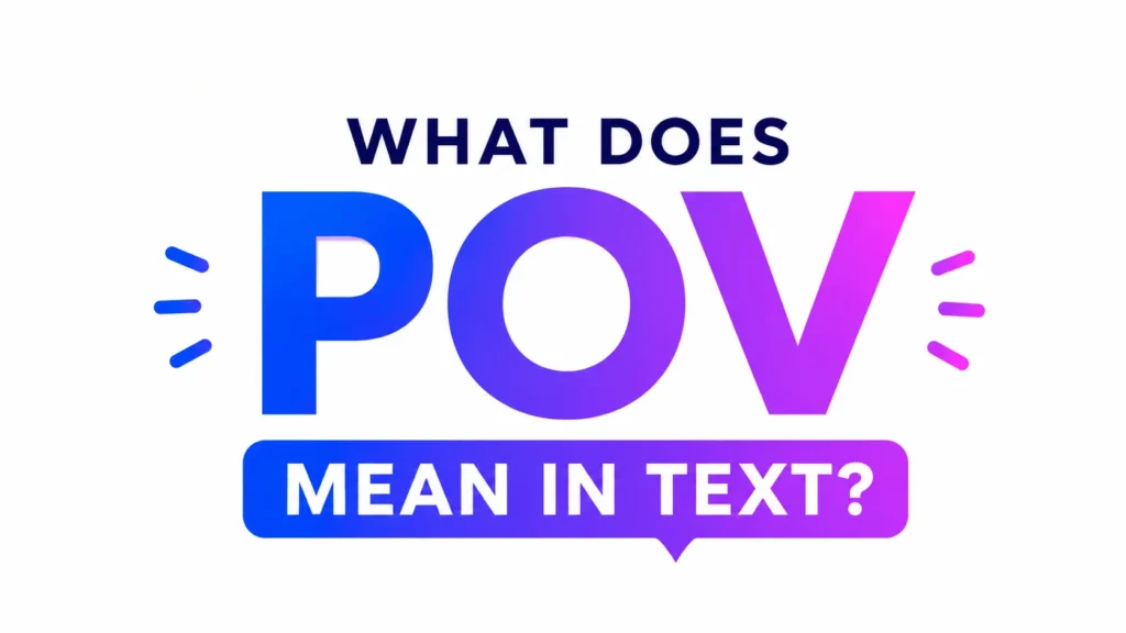what-does-pov-mean-in-text
