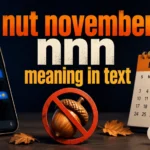 nut-november-nnn-meaning-in-text