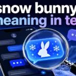 snow-bunny-meaning-in-text