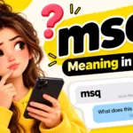 msq