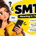 smt-meaning-in-text
