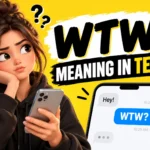 wtw-meaning-in-text
