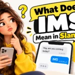 what-does-ims-mean-in-slang